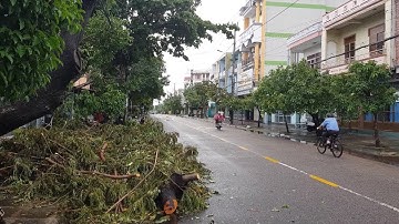 Phú Yên khẩn trương khắc phục hậu quả sau bão