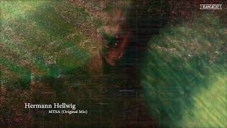 Hermann Hellwig - MTSA (Original Mix)