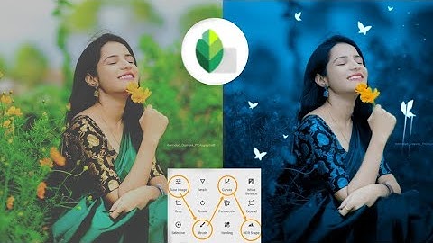 Snapseed Butterfly Glowing Effect Photo Editing || Snapseed Background Colour Change Tricks ||