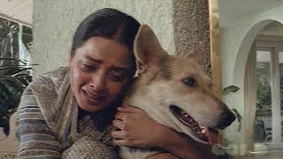 Жажда Мести | Лучший Индийский Фильм Рекха