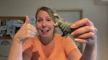 Kims Game using Animals