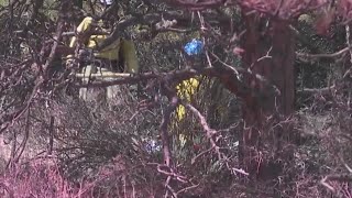 Take a look inside the 37E fire zone in Larimer County