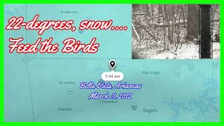 Bella Vista Snowfall 2022