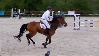 Sébastien BAUER & Red Hot des Baurs / CSO 2018 / 15ème victoire à Mairy-Maiville