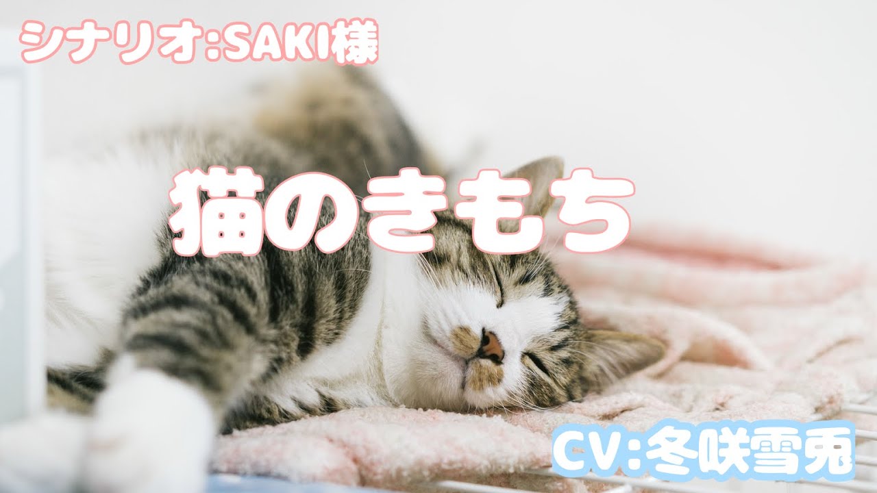 【シチュボ】猫の気持ちが分かるお話🐈🐾