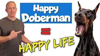 9 Things Dobermans Need to Be Happy: See This BEFORE Getting a Dobie!