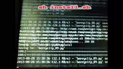 How to use your Berry Clip