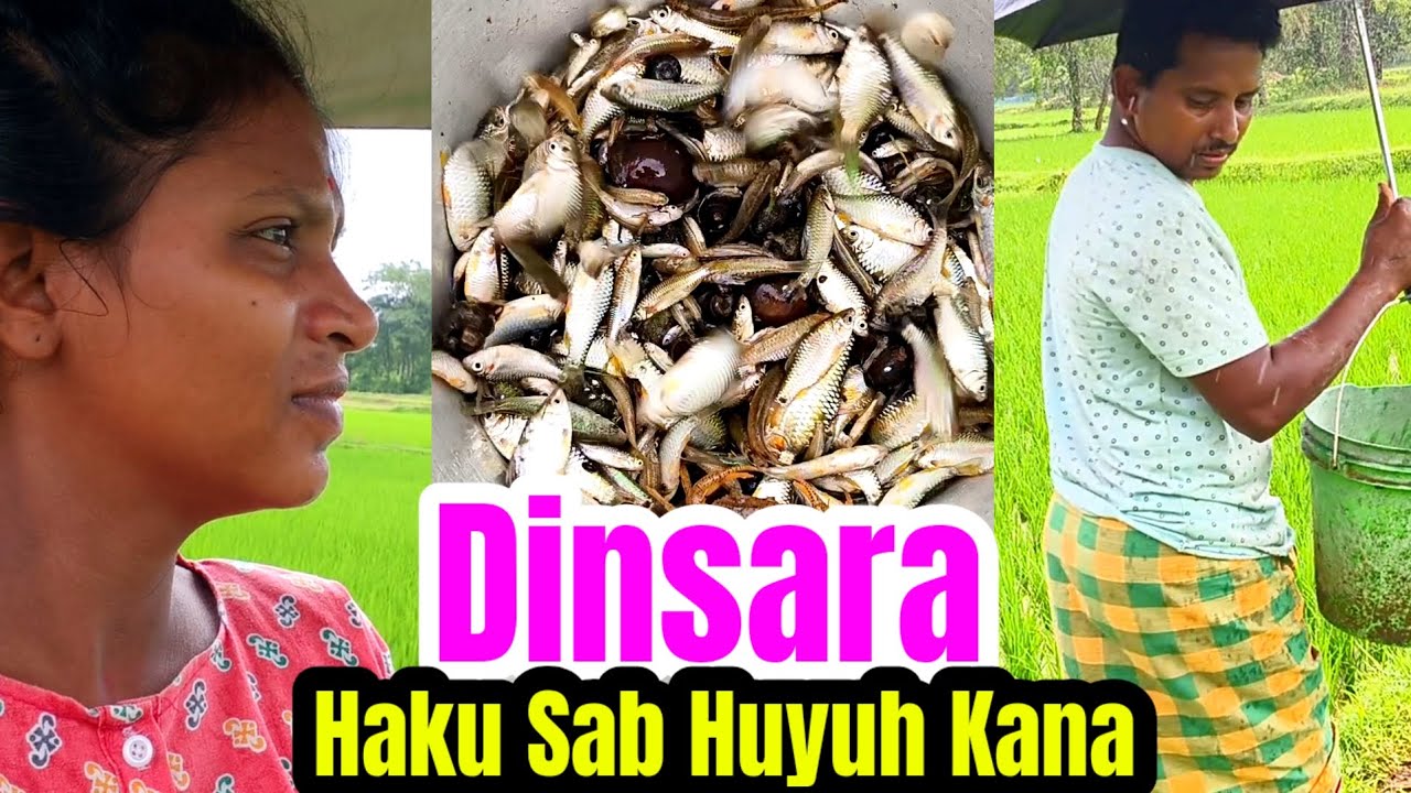 Dinsara Haku Sab Huyuh Kana 😀New Santali Vlogs Video/Rano Soren Entertainment