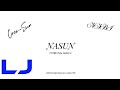 Nasun logo motion