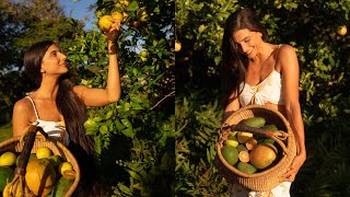 Property Tour! 🌱 What I'm Growing on My 9-Acre Organic Fruit Orchard in Hawaii 🥭 700+ Trees Planted! by FullyRawKristina 69,305 views 6 months ago 20 minutes