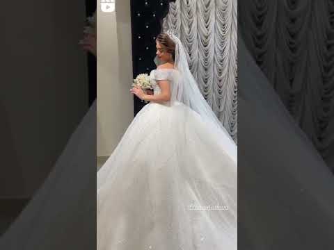 استديوهات زفة المزيونه 