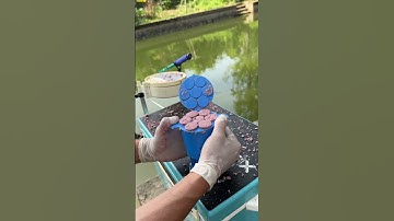 Dụng cụ kẹp mồi câu cá rô cá chép siêu tốc 2025 - bait clips #15🎣 #fishing #shorts