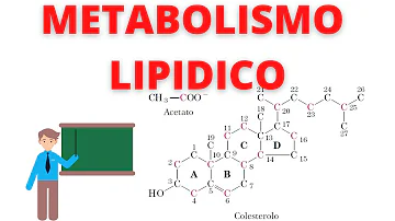 Come diagnosticare il malassorbimento intestinale?