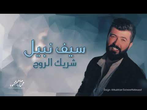سيف نبيل شريك الروح حصريا اقوى اغنية لعام 2019 هزت الوطن العربي