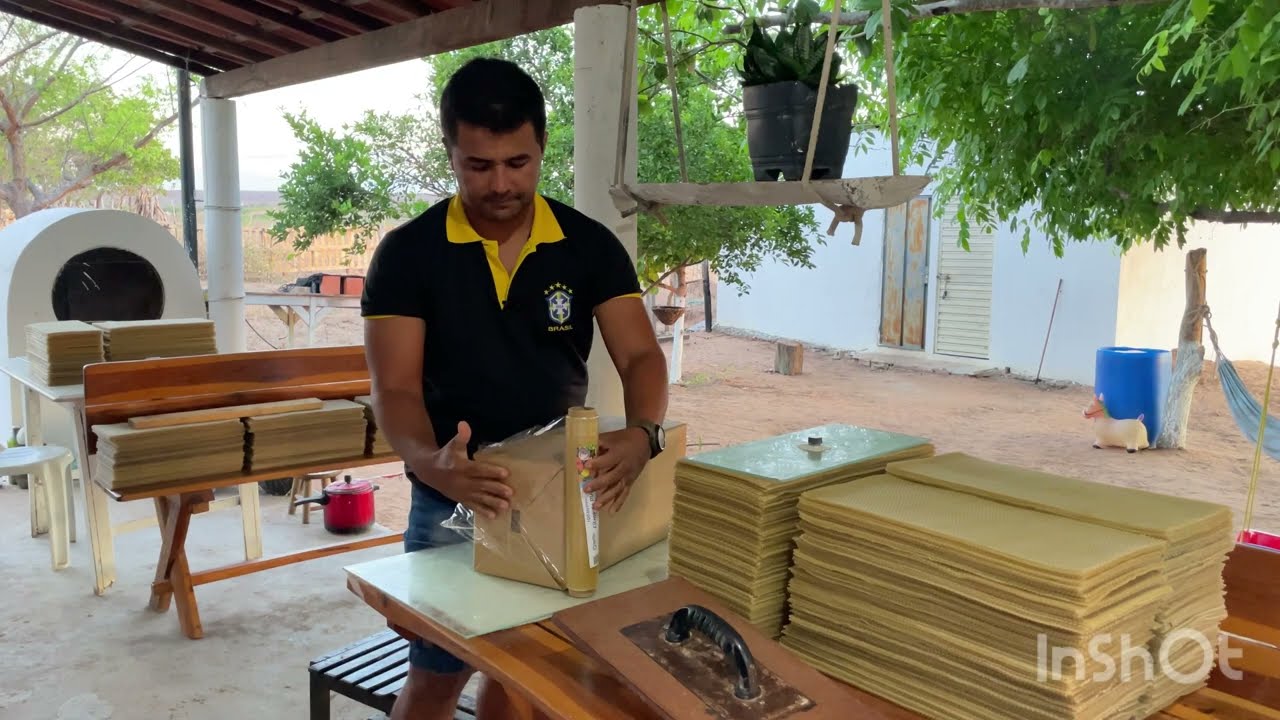 🤑Como armazenar cera alveolada de abelha apis.