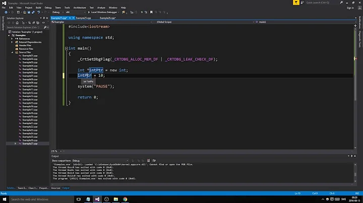 C++ Example 27 - Detect memory leaks using flag