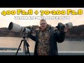 Best 2 Lenses for Wildlife Photography