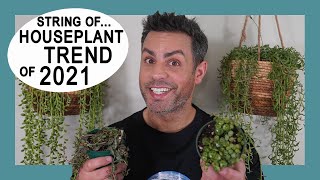 Houseplant Trends 2021: My Entire String Of Collection - Soil Mix, Care Tips, and Propogation!