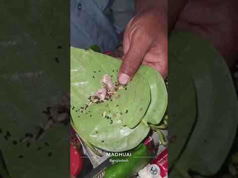 طريقة لف التنبول كأنه ملغم مثل القنبلة 
