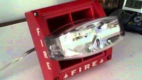 System Sensor MASS: 800Hz