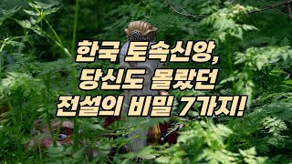 🔥 아직도 전해지는 한국의 토속신앙 TOP 7! 🔥