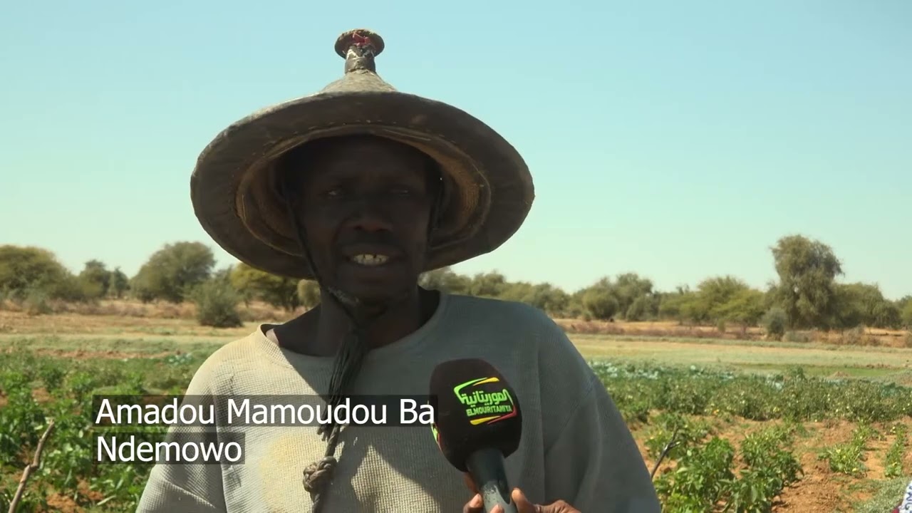 Cimtol Ndema to Lexeiba