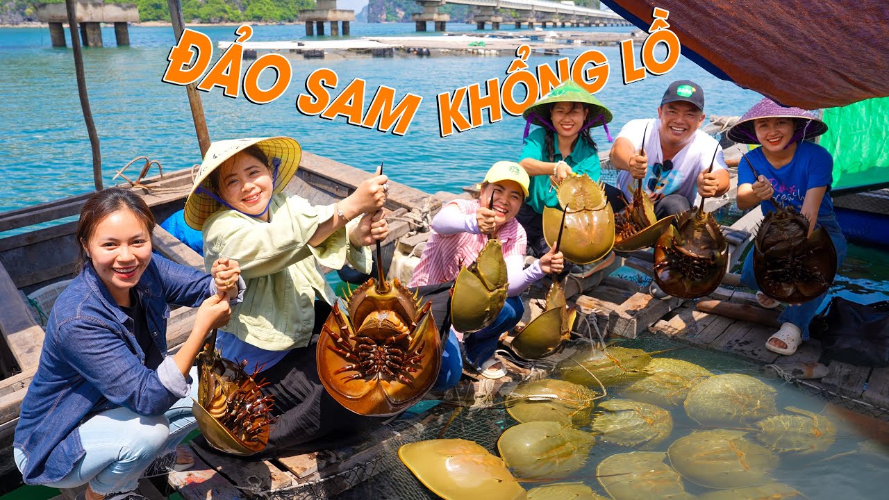 SAPA TV XUYÊN VIỆT (Tập 101) THĂM ĐỀN CỬA ÔNG BÈ SAM KHỔNG LỒ Ở VỊNH BÁI TỬ LONG CẨM PHẢ QUẢNG NINH