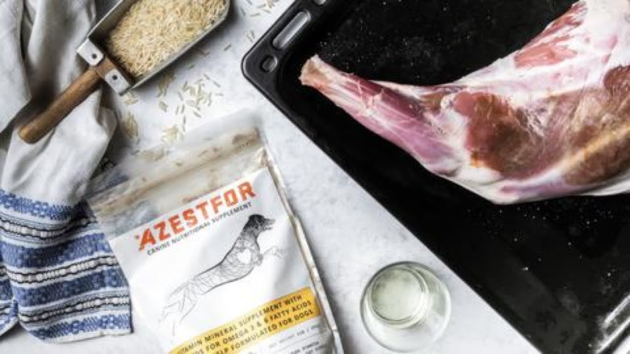 lamb-rice-homemade-dog-food-for-allergies-youtube