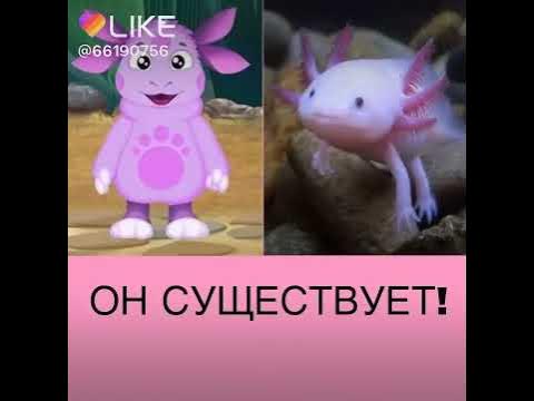 Как выглядит лунтик в настоящей жизни