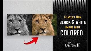 Famous How To Convert  Black & White Image Into colored Image in Few Seconds Net Worth