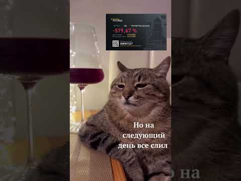 #кот bitcoin #мем #shorts #short #nft #shorts #memes #cat