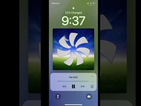 Show Me Your Recent Pictures Shorts Fhotos