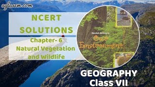 NCERT Solutions Class 7 Social Science (Geography) Chapter 6 Natural Vegetation and Wildlife screenshot 5