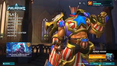 Paladins Error Launch (20006)