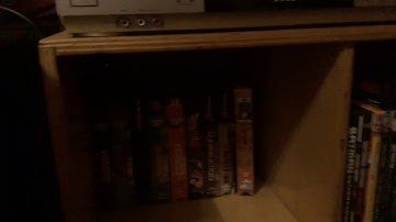 Overview of All of My VHS and DVD Collection (2018 Edition) (Last Video of 2018)
