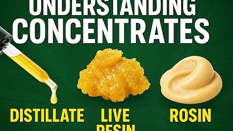Understanding Concentrates Distillate, Live Resin, and Rosin Explained