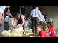 Royal Highland Show 2019 Sheep Shearing Scottish National
