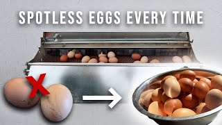 The Secret To CLEAN EGGS ✨ | STOP Egg Eating, Dirty Shells, Nest Box Sleeping, Broody Hens + More