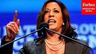 How Did Kamala Harris Generate Wealth Through Her Career In Public Service?