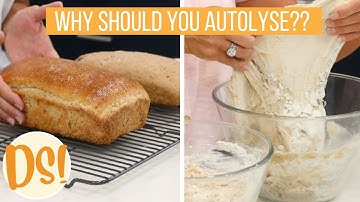 Why Should you Autolyse your Dough before making Sourdough Whole Wheat Bread!! - Daily Sourdough