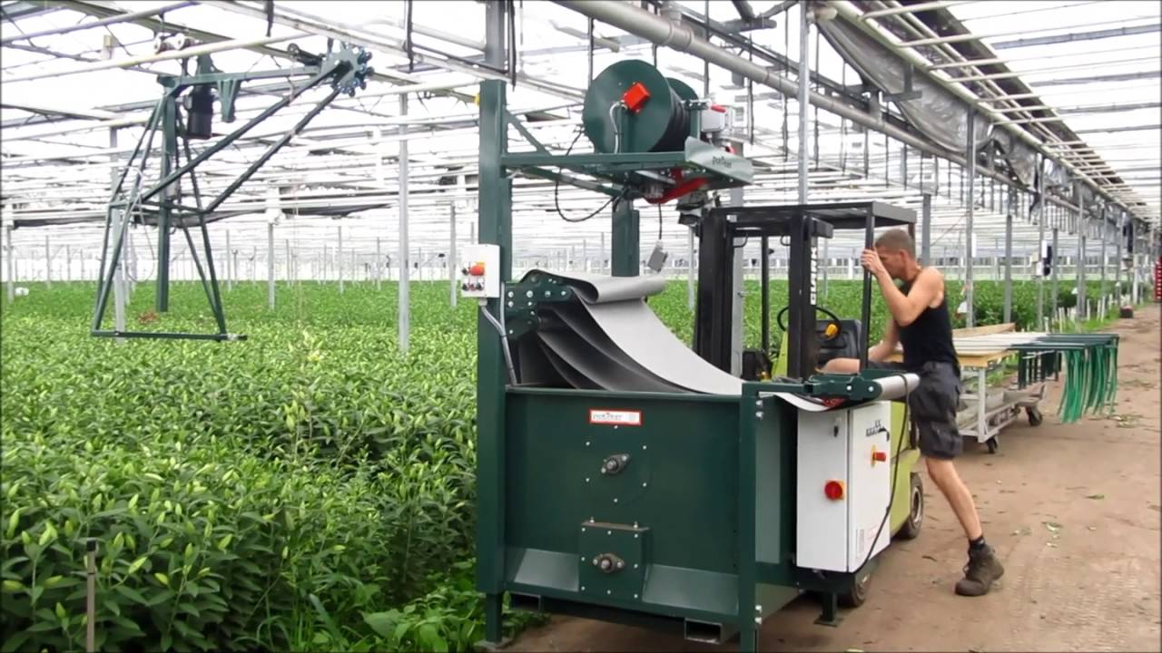 Cut flower harvesting belt system standalone Potveer YouTube
