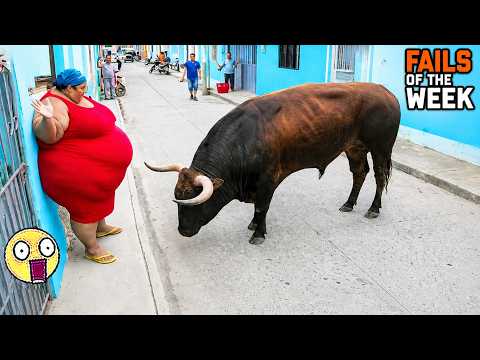 Funny Videos Try Not to Laugh: Funny Fails Compilation: People Failing Hilariously | FailArmy  P24