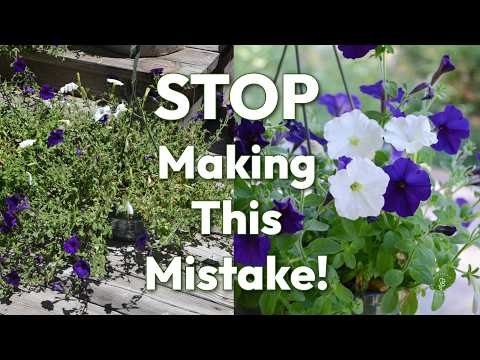 The Truth About Bloom Booster Fertilizers! What Science Tells Us