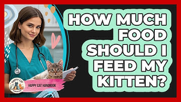 How Much Food Should I Feed My Kitten? - Happy Cat Handbook
