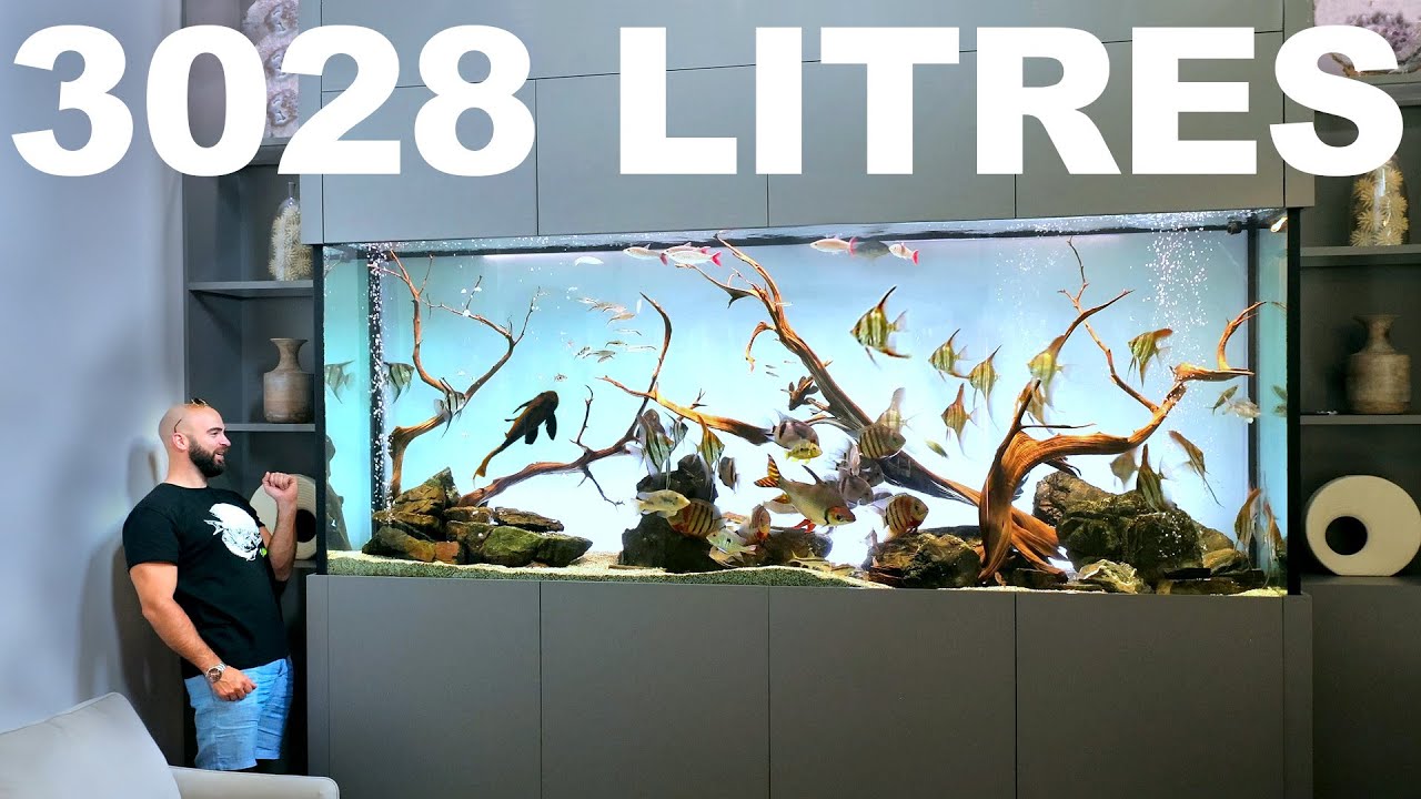 Photo inspiration: Picture Idea: Aquariums Of The Rich Huge High End Aquarium Design