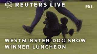 Live: Westminster Dog Show Champion Is Served A Posh Lunch