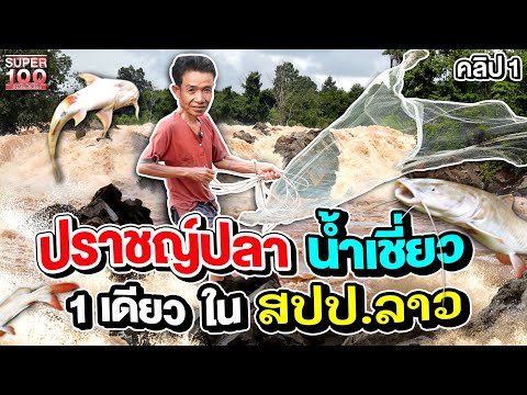 วีดีโอ: แม่น้ำเซสตราตั้งอยู่ที่ไหน? คำอธิบายและความคิดเห็นของการตกปลา