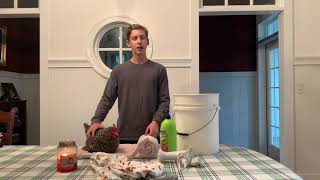 How to Bathe a Chicken