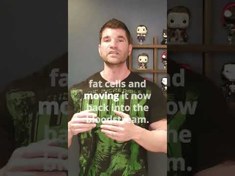 insulin sensitivity makes