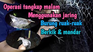 Operasi tangkap malam|menggunakan jaring&suara pikat|burung ruak-ruak berkik|mandar dan belibis